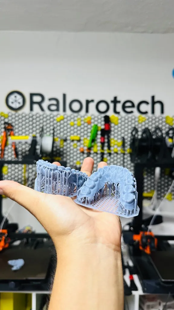 Dos arcadas dentales en resina con soportes, listas para limpieza y curado