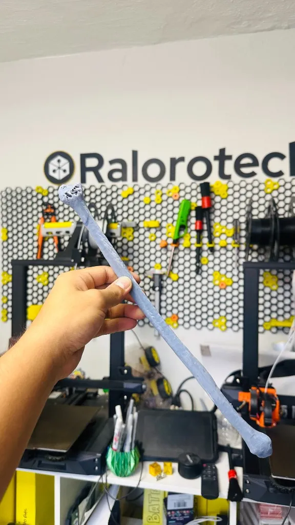 Modelo anatómico de hueso largo en resina, impreso en alta resolución