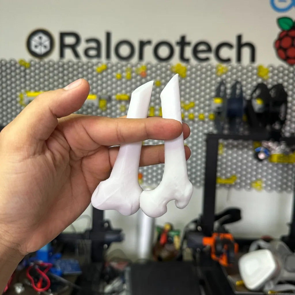 Par de modelos anatómicos de articulación (fémur distal) impresos en resina mate