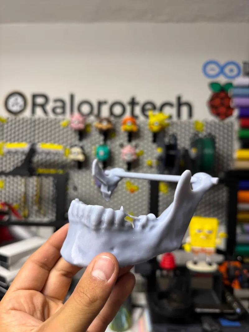 Modelo anatómico de mandíbula impresas en 3D para estudio o demostración