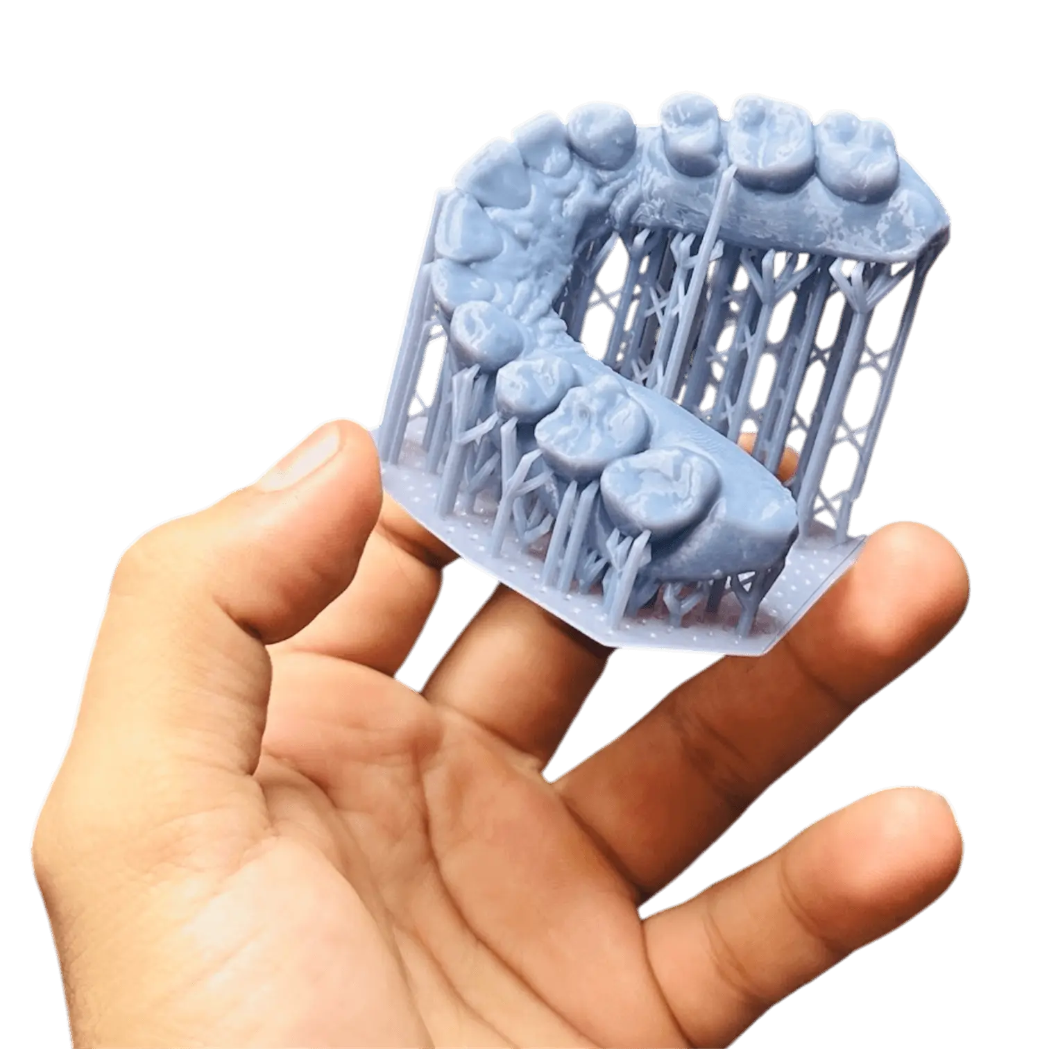 Arco dental en resina de alta definición con soportes de impresión SLA — Ralorotech, taller FDM y resina en Guadalajara